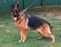 /album/photos-cessi/cessi-uprava-jpg/